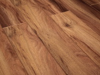 ������� Floorway