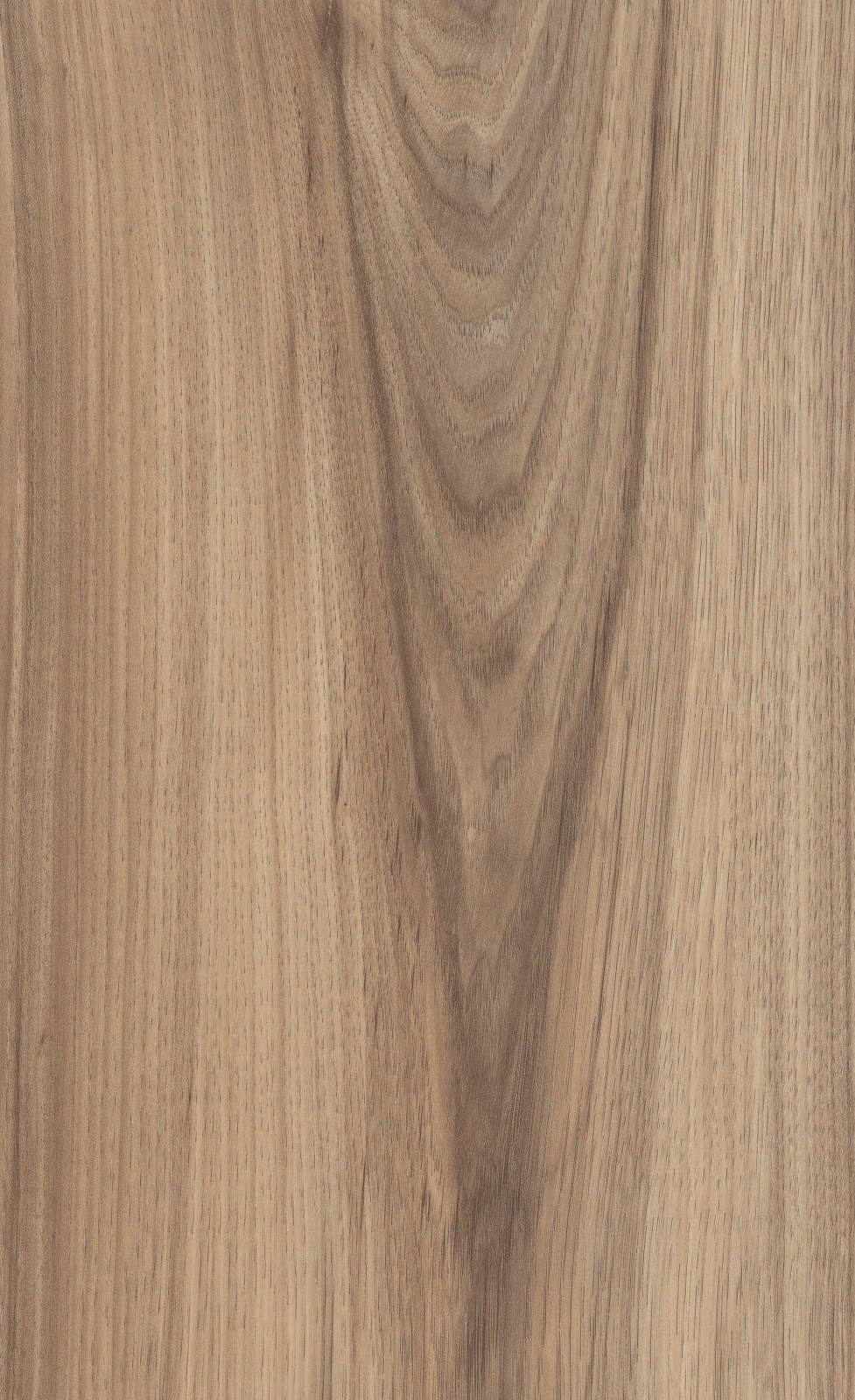 ������� Kaindl Classic Touch 8.0 ������� �����